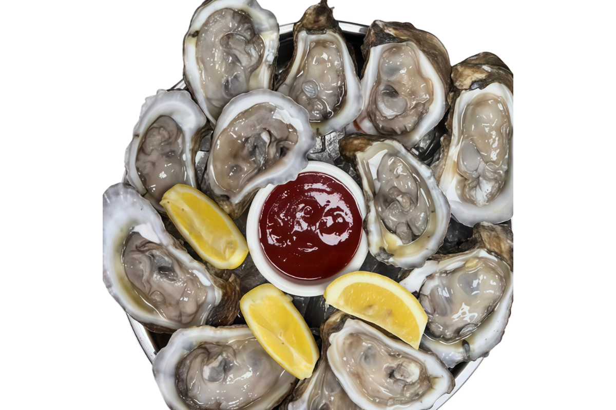 Fresh Oysters
